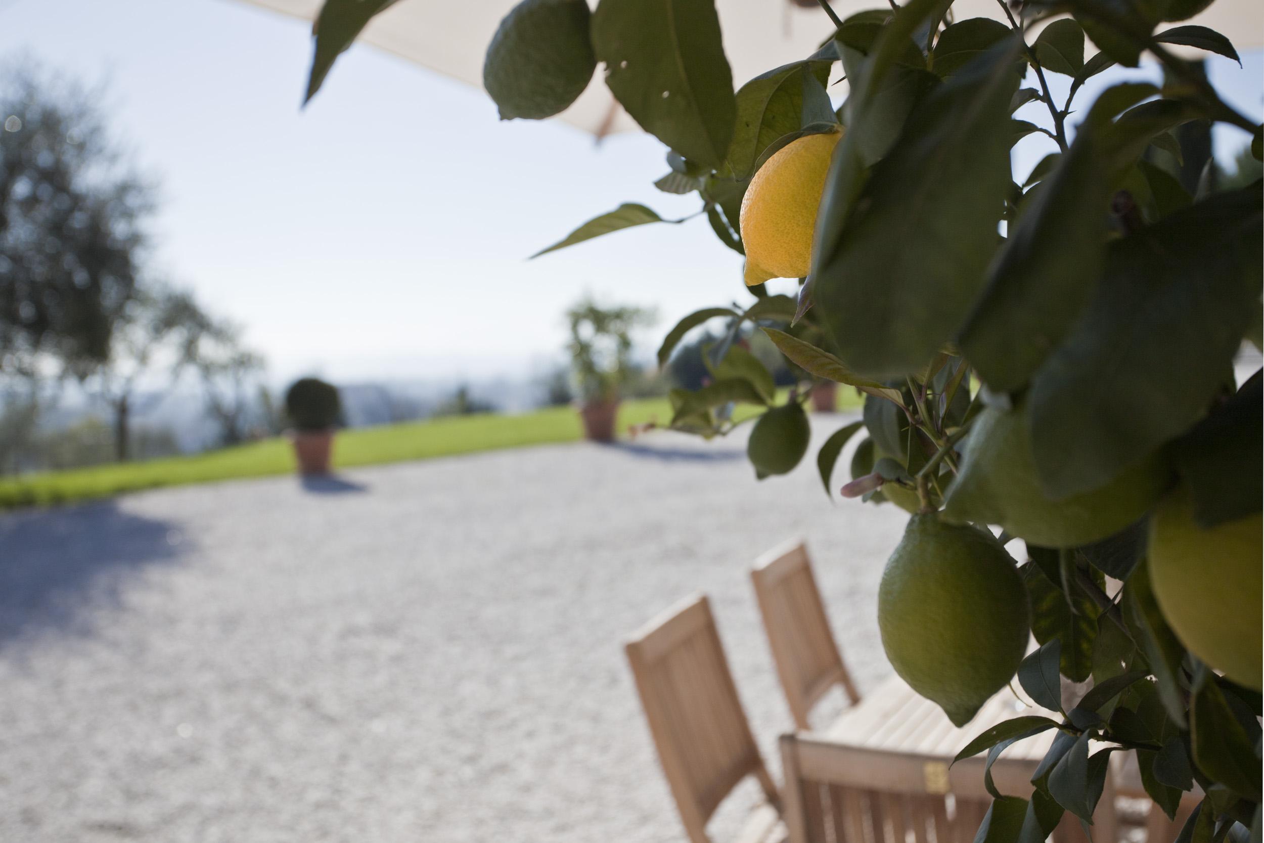 Relais Villa Belvedere Incisa in Val d'Arno Exterior photo